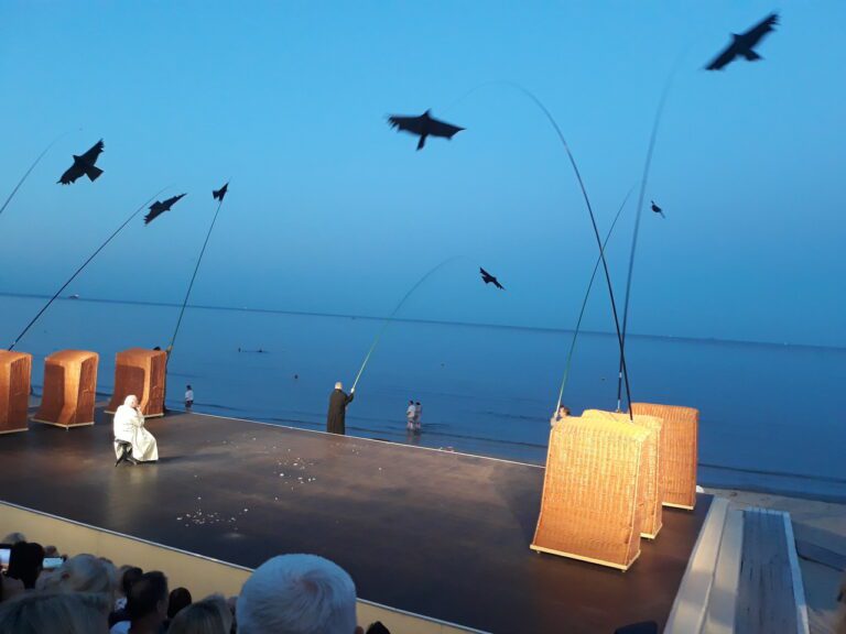 scena przedstawienia teatralnego nad morzem z ptakami